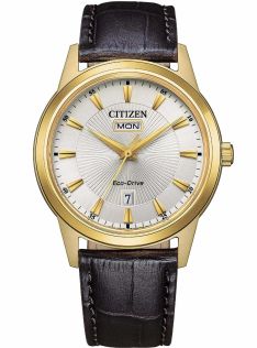 AW0102-13A Citizen Eco-Drive men's watch in golden colored steel | Sunray dial with day/date | AW0102-13A