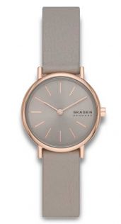 SKW3060 Skagen Signatur Lille SKW3060