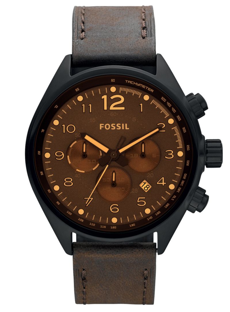 Fossil Flight CH2782
