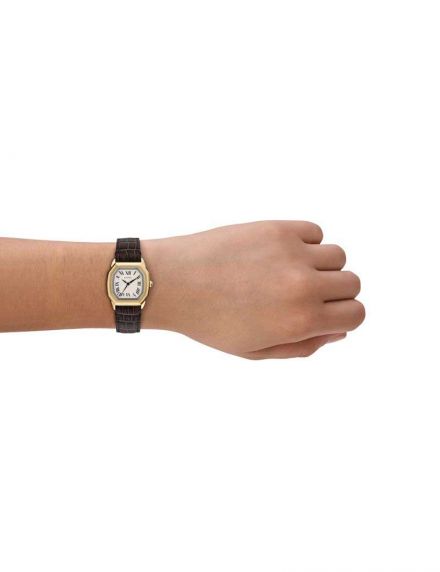 Fossil Harlow ES5426